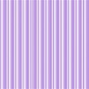 paper 43 many stripes purple
