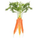 carrot cluster