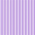 paper 43 many stripes purple