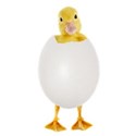 duck in egg