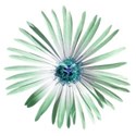 flower 02