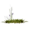 grass 01
