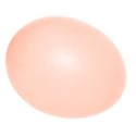 easter egg salmon