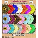 Gerberas