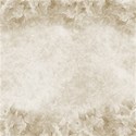 paper 65 roses ivory
