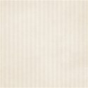 paper 73 ivory