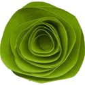 rolledflowergreen