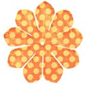 1flowerporange