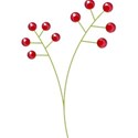 berrybranch
