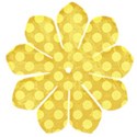 1flowerpyellow