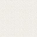 paper ivory 04