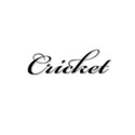 Cricket