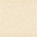 paper 05 ivory