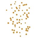 sequins gold