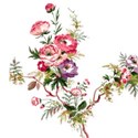 Embellishment