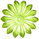 flowergreen