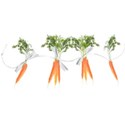 string of carrots