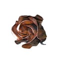 Steampunk Delight rose