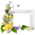 cluster frame ducky