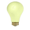 bulb4