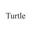 t-turtle2