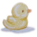Baby Yellow duck