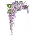 Wisteria Dreams_cluster frame