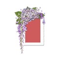 Wisteria Dreams_cluster frame