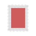 frame white lace