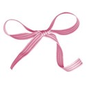 ribbon bow 03