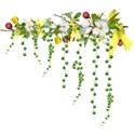 apple blossom branch dangles yellow red 02
