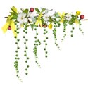 apple blossom branch dangles yellow red