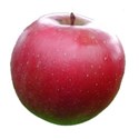 apple red