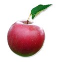 apple red leaf