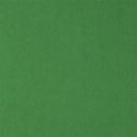 papergreen4