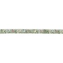 ribbon1_gma-mikki