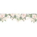 roses peach border