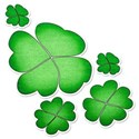 lucky clovers sticker