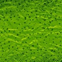 Paper Scattered Clover Lime