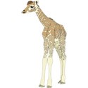 g-giraffe1