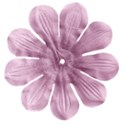 flowerpink