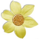 flower7_crazyinlove_mikki