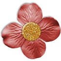 flower1_crazyinlove_mikki
