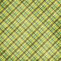 PLAID_crazyinlove_mikki