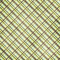 PLAID2_crazyinlove_mikki