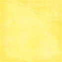 YELLOWsolid_mikki