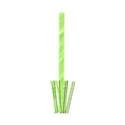 stem with grass