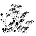 flower black silouete