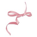 ribbon bow lines rose