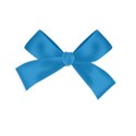 MY BOWBLUEOK